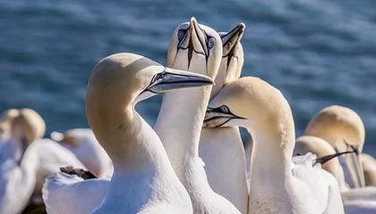 乌迪内斯客场取分，保持近期不败势头