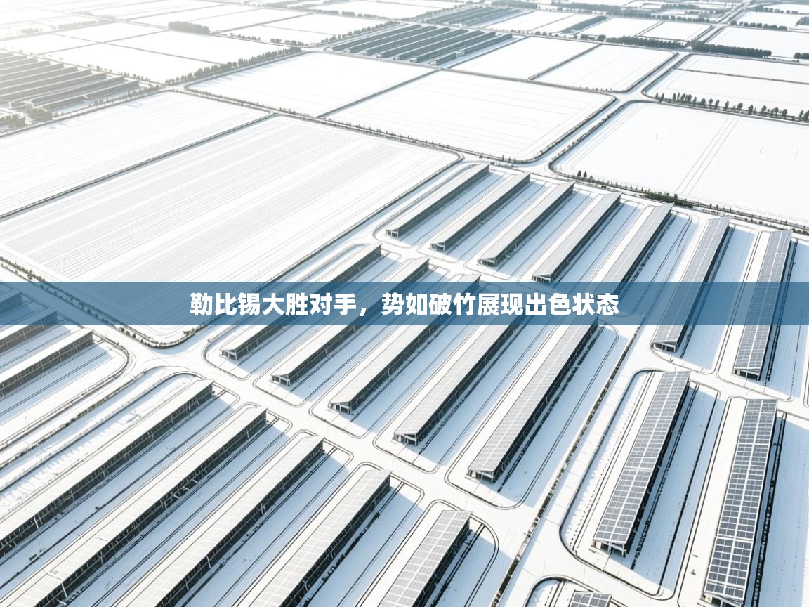 勒比锡大胜对手,势如破竹展现出色状态 第2张