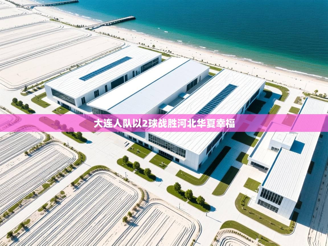 大连人队以2球战胜河北华夏幸福  第2张