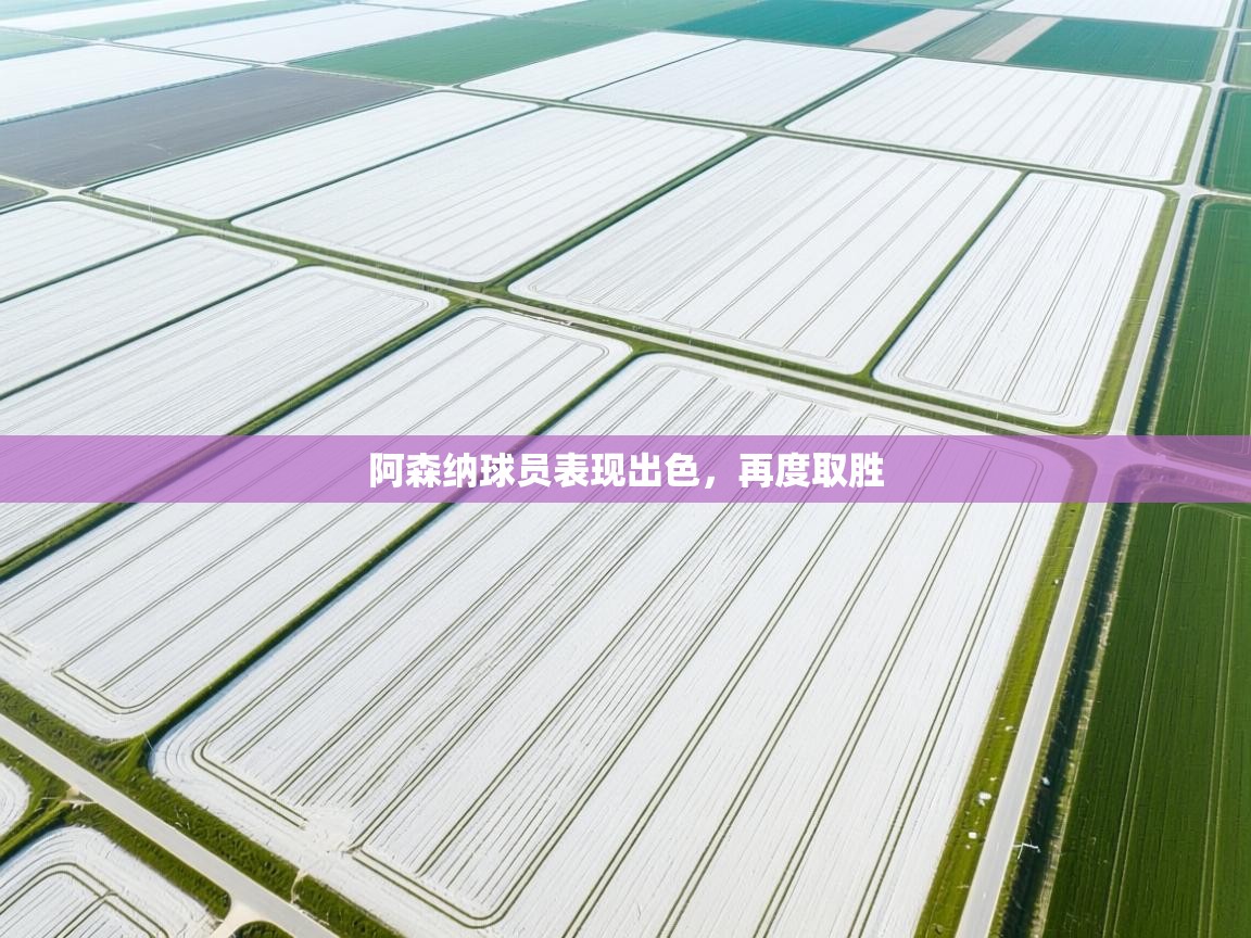 阿森纳球员表现出色，再度取胜