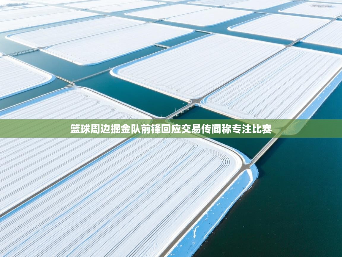 篮球周边掘金队前锋回应交易传闻称专注比赛