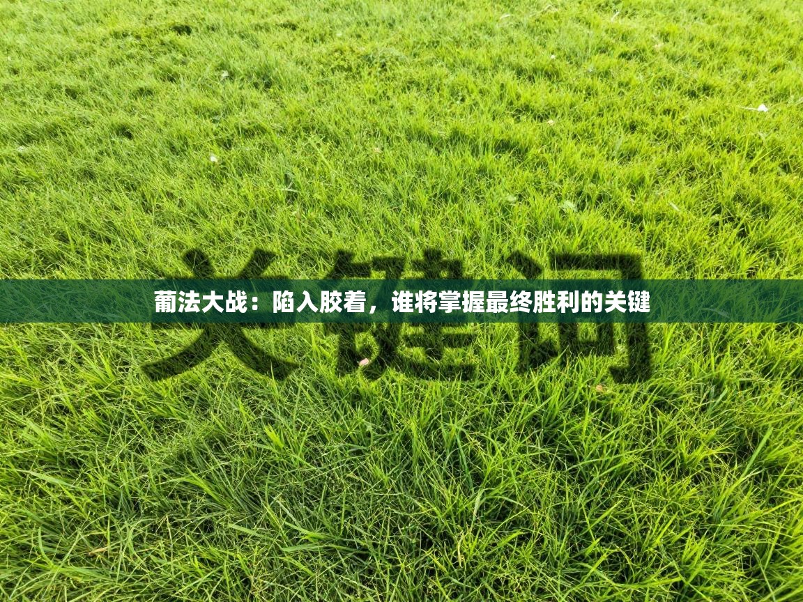 葡法大战:陷入胶着,谁将掌握最终胜利的关键 第2张